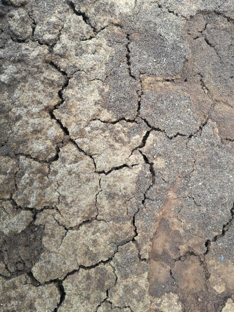 Photo close-up of cracked land