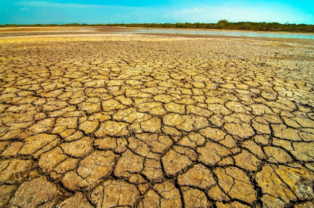 close-up of cracked surface