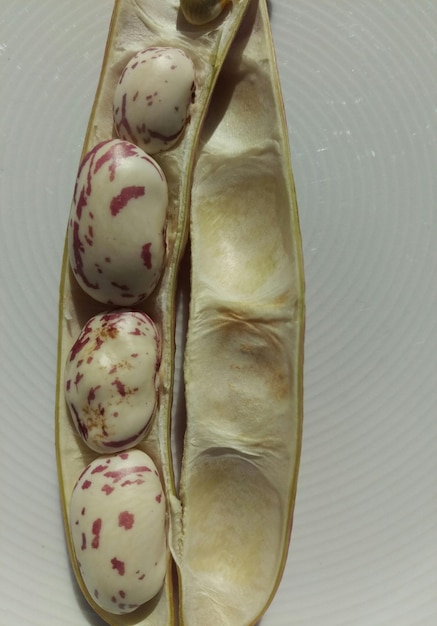 Close-up of cranberry beans on plate