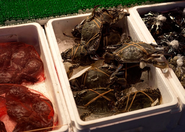 Foto cassa di close-up di aragoste fresche al mercato del pesce