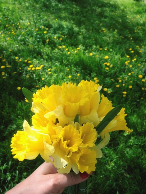 Close-up of cropped hand holding flower