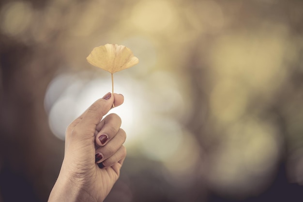 Photo close-up of cropped hand holding flower