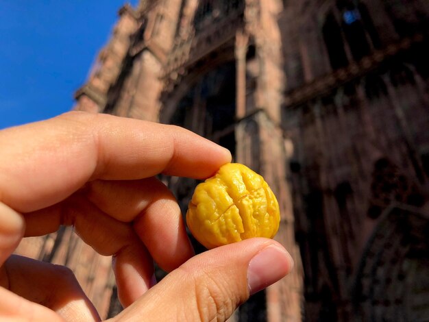 Close-up of cropped hand holding fruit against building