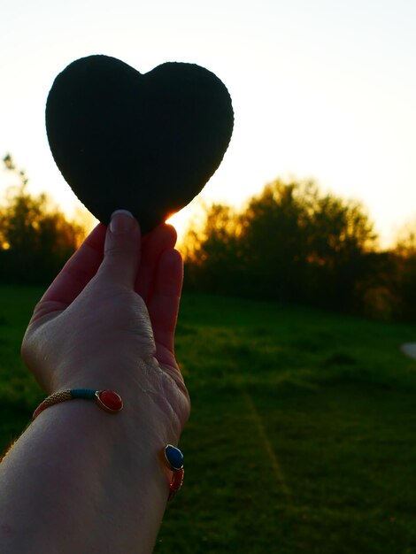 Close-up of cropped hand holding grass