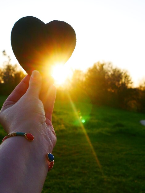 Foto close-up di una mano tagliata che tiene il sole