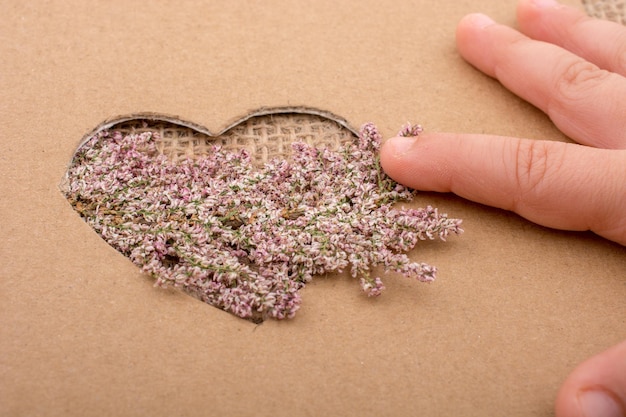 Photo close-up of cropped hand touching flowers