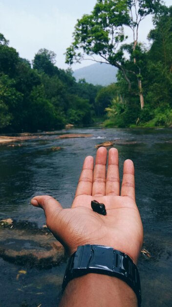 Клоуз-ап обрезной руки с камнем на ладони у реки в лесу