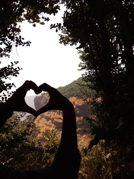 Foto close-up di mani a silhouette tagliate che formano la forma di un cuore contro gli alberi
