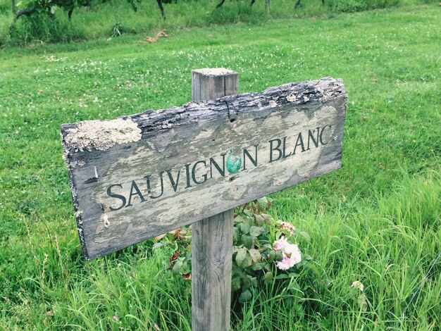 Close-up of cross on grass