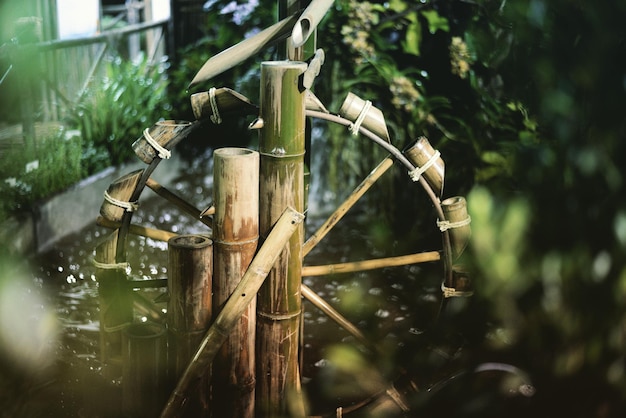 Photo close-up of cross on plant in garden