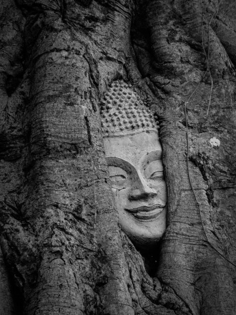 Foto close-up di una scultura di croce sul tronco di un albero