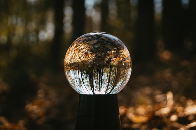 Photo close-up of crystal ball on field against trees