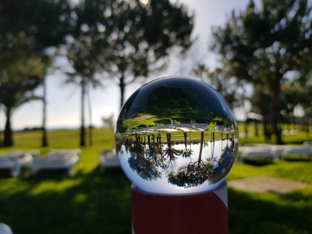 Close-up della sfera di cristallo sul campo contro gli alberi