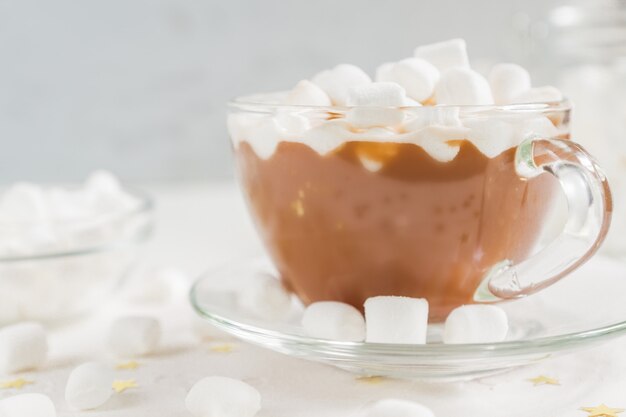 Close up of Cup of hot delicious cocoa drink with marshmallows.