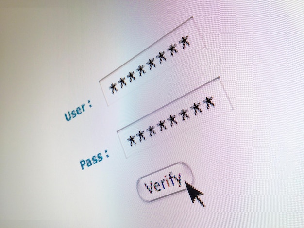 Photo close-up of cursor at verify button computer monitor