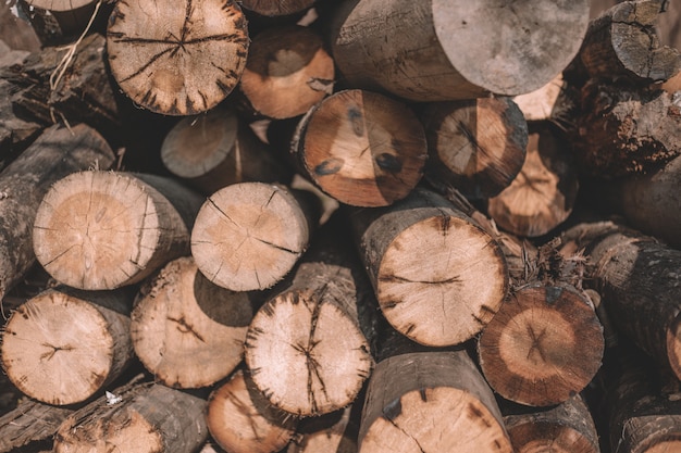 Close-up cut trees, log cabins, logs lie a bunch along the road