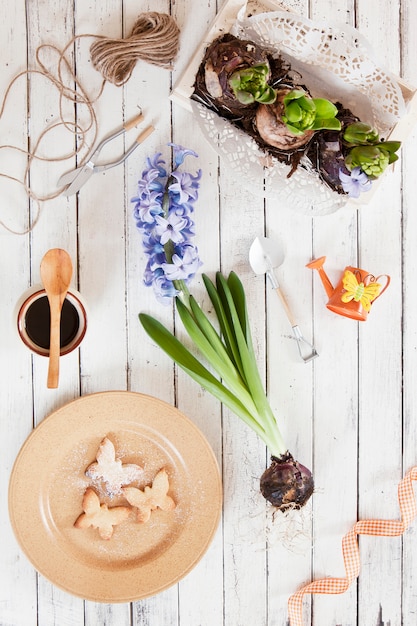 Close-up of a cute butterfly  cookies on a plate and hyacinth flowers