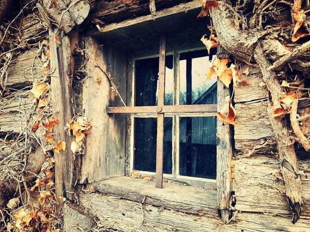 Close-up of damaged window