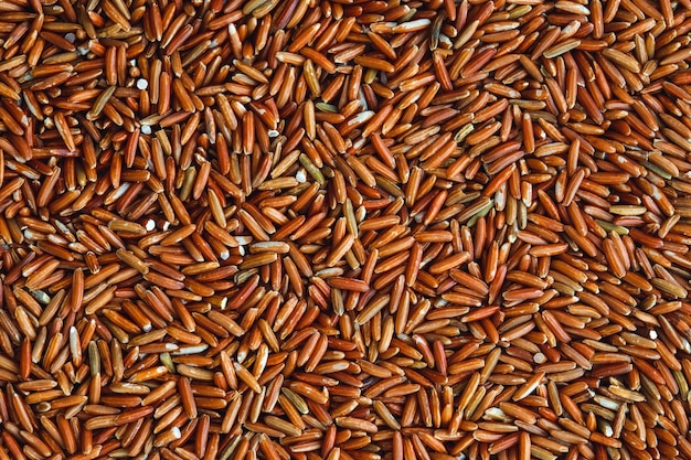 Close up a dark red rice seeds