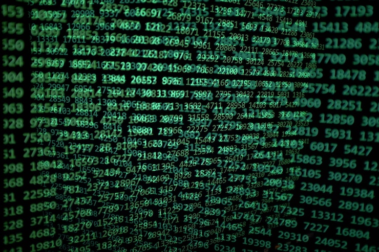 Photo close-up of data on computer monitor
