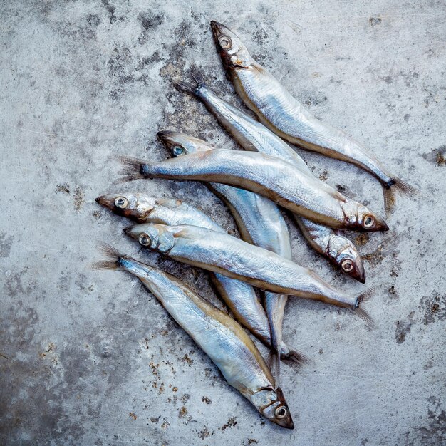 Photo close-up of dead fish