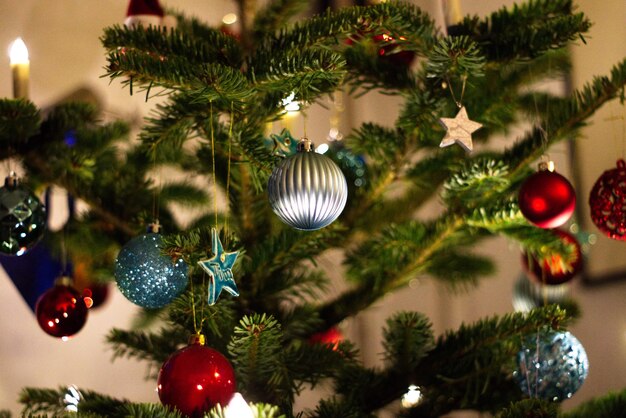 Close-up of decoration hanging on christmas tree