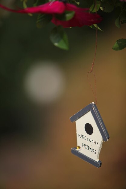 Photo close-up of decoration