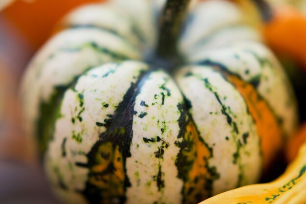 Close up of decorative autumn pumpkins Orange yellow and green pumpkins with autumn leaves on a wooden background Preparation to Thanksgiving day o Halloween party