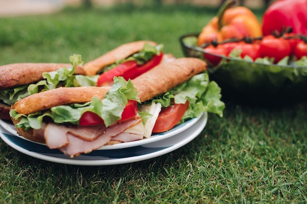 Close-up of delicious homemade sandwiches made with salad, red tomatoes, sliced cold meat and bread served on the plate on green summer grass.