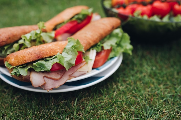 Крупным планом вкусные домашние бутерброды с салатом, красными помидорами, нарезанным мясом и хлебом, которые подают на тарелке на зеленой летней траве.