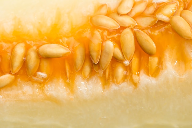 Close-up of delicious honeydew melon