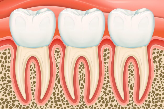 Foto close-up di un impianto dentale o di denti umani sani chirurgia dello smalto bianco e degli impianti dentali