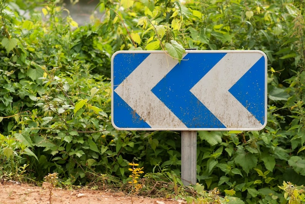 Photo close-up of directional sign by plants