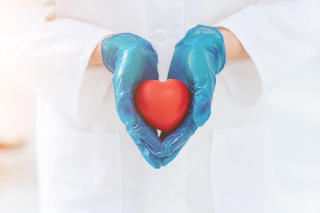 Close up doctor in protective gloves holds the heart