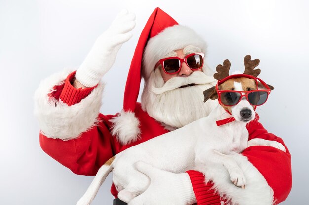 Photo close-up of dog against white background