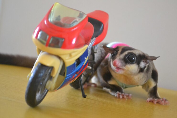 Photo テーブルの上の犬のクローズアップ
