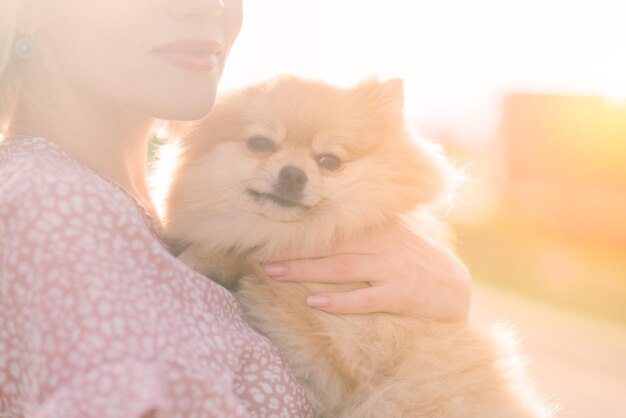 Close-up of dog