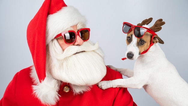 Foto prossimo piano del cane