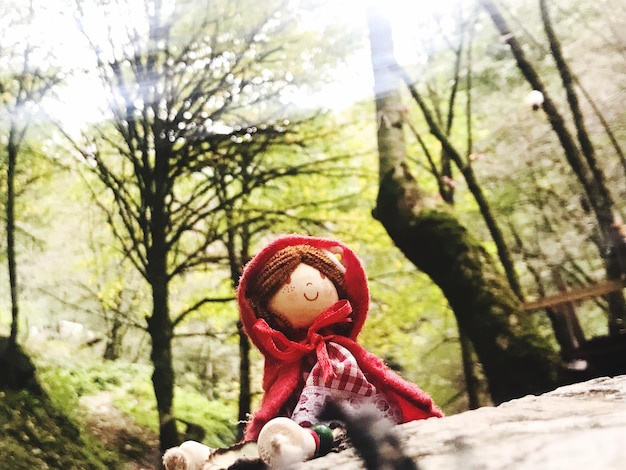 Photo close-up of doll on footpath in forest