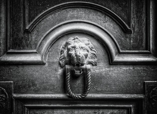 Photo close-up of door knocker