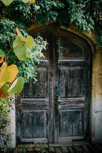 Photo close-up of door