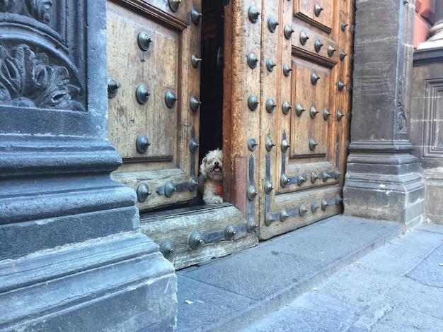 Close-up of door