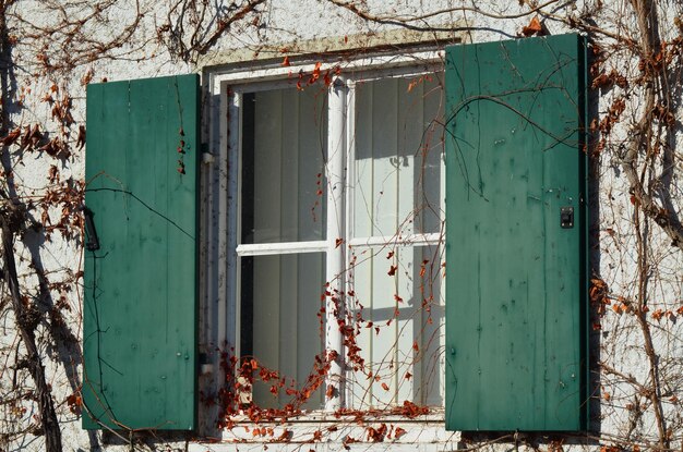 Close-up of door