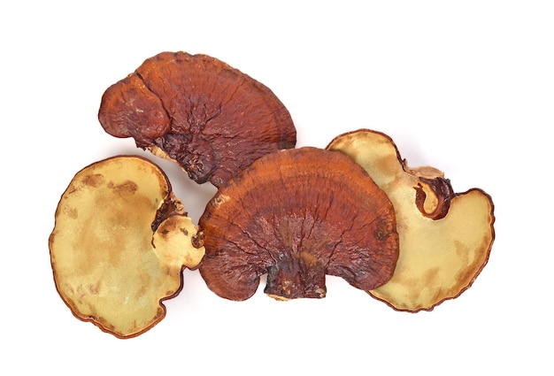 Photo close-up of dried cake against white background