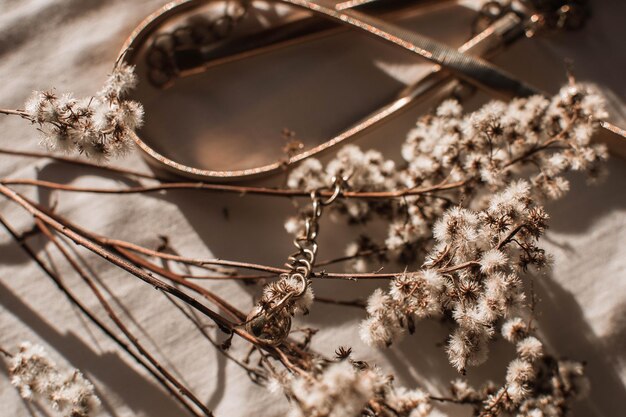 Photo close-up of dried plant on branch