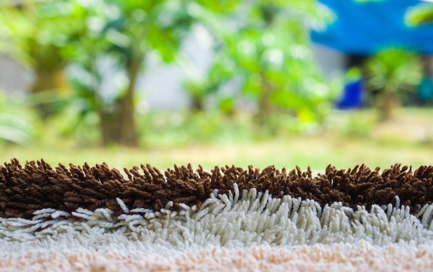 Close-up of dried plant on field