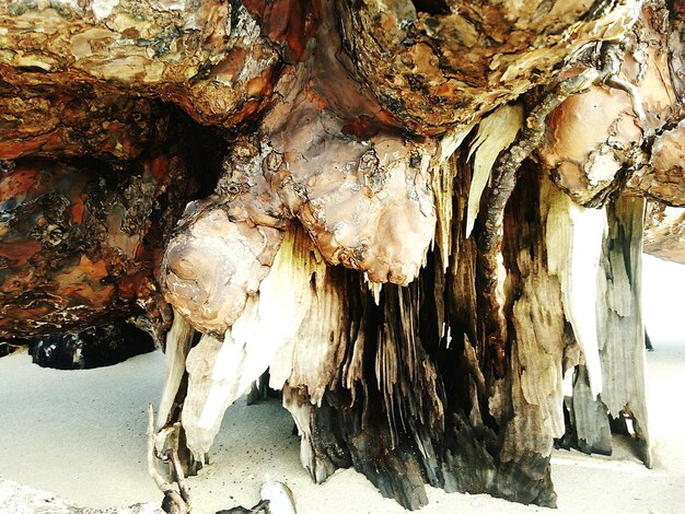 Foto prossimo piano di legno alla deriva sulla spiaggia