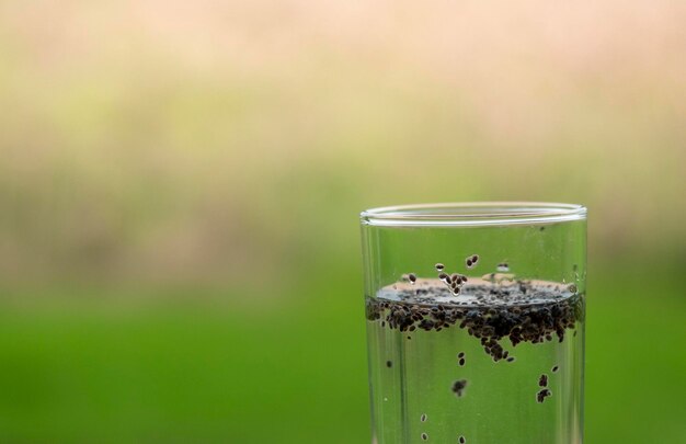 Photo close-up of drink on glass