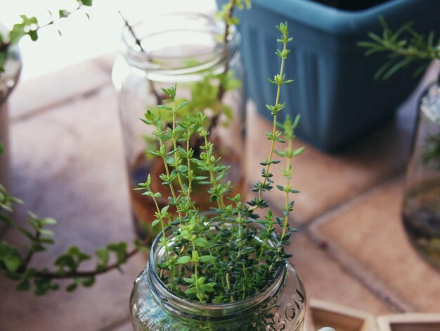 Close-up of drink on table nature