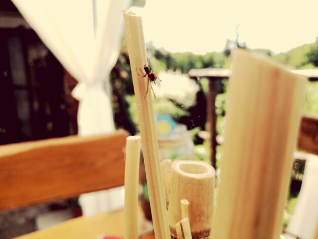 Close-up of drink on wooden table